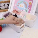 9024 CAJA ORGANIZADORA (2).webp