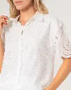 Web_Sem_43_0072s_0001_Capa 55.webp