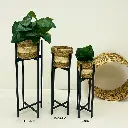 Setdemacetasenmimbreconsoportemetalico 2.webp