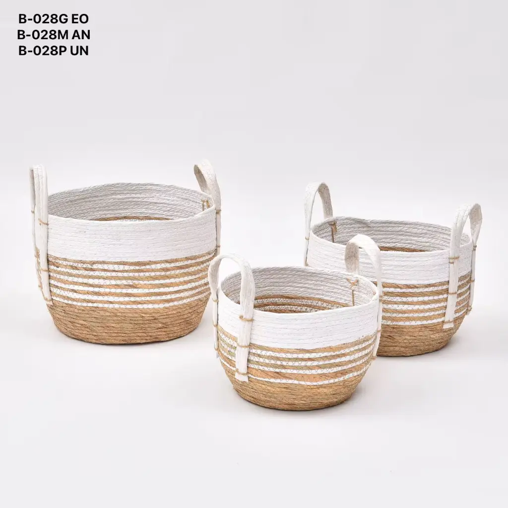 WhatsApp Image 2025-06-17 at 5.47.26 PM.webp