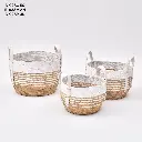 WhatsApp Image 2025-06-17 at 5.47.26 PM.webp